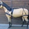 Outlet Harnais attelage Harnais D'Attelage|Equipements D'Attelage