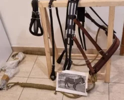 Outlet Harnais attelage Harnais D'Attelage|Equipements D'Attelage