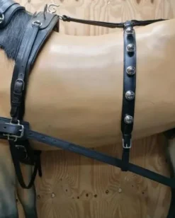 Outlet Harnais attelage Harnais D'Attelage|Equipements D'Attelage