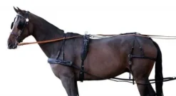 Outlet Harnais attelage Harnais D'Attelage|Equipements D'Attelage