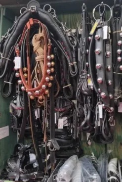 Outlet Harnais attelage Harnais D'Attelage|Equipements D'Attelage