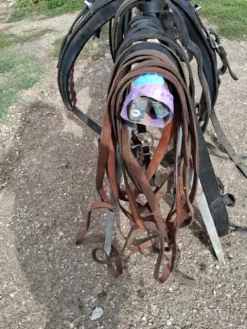 Clearance Harnais cheval de trait Harnais D'Attelage|Equipements D'Attelage