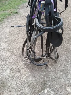 Clearance Harnais cheval de trait Harnais D'Attelage|Equipements D'Attelage