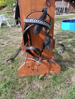 Clearance Harnais poney c d Harnais D'Attelage|Equipements D'Attelage