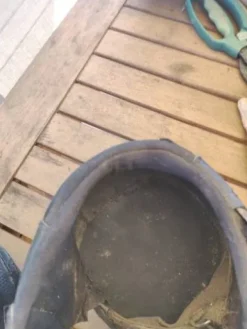 Clearance Hipposandales Équine fusion active jogging 14 Hipposandales