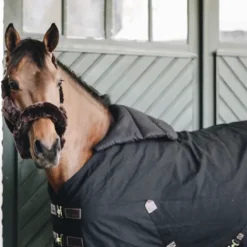 Sale Horse Bib été - Kentucky Couvertures Cheval