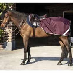 Outlet Horseware Couvre-reins Competition Sheet Couvre-Reins
