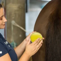 New Horskin Baume Bio Plantain DER Démangeaisons Force 4 Dermite Cheval|Peau Et Sabots·Dermite Estivale