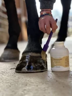 Sale Huile pour sabot Nutri Pied Produits De Soin Sabots