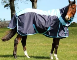 Best Imperial Equestrian Supplies Couvertures Cheval