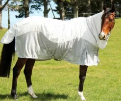 Best Imperial Equestrian Supplies Couvertures Cheval