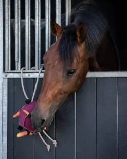 Jouet d'écurie ballon à carottes - - matériaux durables Aménagement De L'Écurie·Jouets Pour Chevaux