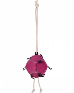 Jouet d'écurie ballon à carottes - - matériaux durables Aménagement De L'Écurie·Jouets Pour Chevaux