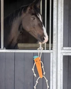 New Jouet de box carotte - - suède et fibre de coco Aménagement De L'Écurie·Jouets Pour Chevaux