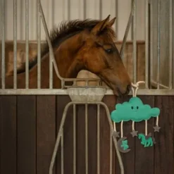 Jouet de box novy - - biodégradable et durable Aménagement De L'Écurie·Jouets Pour Chevaux