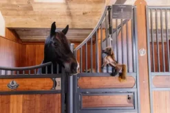 Sale Jouet de boxe Poney Tableux - Kentucky Aménagement De L'Écurie·Jouets Pour Chevaux