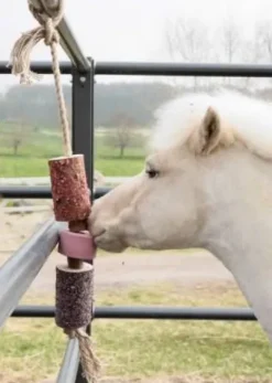 Discount Jouet en bois relaxant avec pierre à sel sammy - Kentucky Aménagement De L'Écurie·Jouets Pour Chevaux