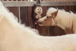 Outlet Jouet pour cheval Hamster Heritage 2025 - Aménagement De L'Écurie·Jouets Pour Chevaux