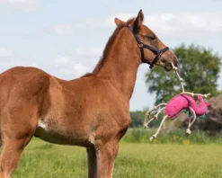 Sale Jouet pour chevaux Aménagement De L'Écurie·Jouets Pour Chevaux