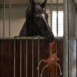 Sale Jouets de box valentine ours - - durable et écologique Aménagement De L'Écurie·Jouets Pour Chevaux