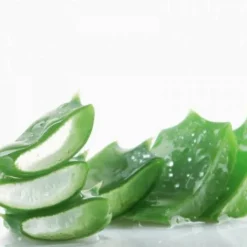 Hot Jus d'Aloé Vera - Bien-Être Du Cheval·Plantes Pour Chevaux