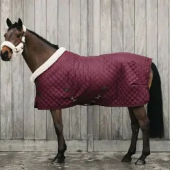 Best Kentucky Couverture de présentation 160gr Couvertures Cheval