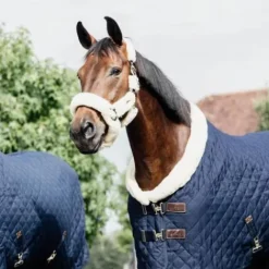 Best Kentucky Couverture de présentation 160gr Couvertures Cheval