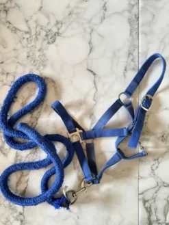 Best Licol Licols Et Longes