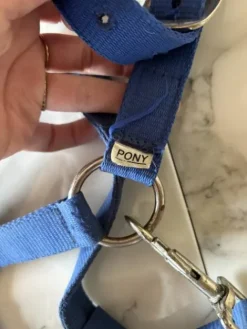 Best Licol Licols Et Longes