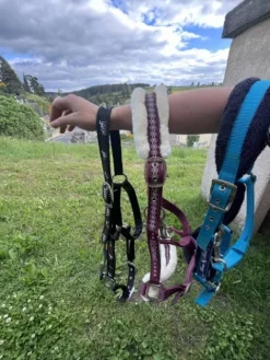 Online Licol Licols Et Longes