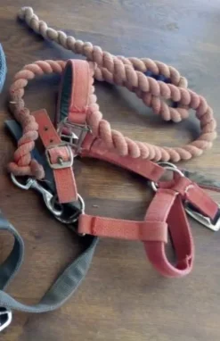 Hot Licol Licols Et Longes