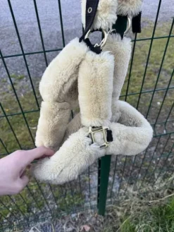 Best Licol Licols Et Longes