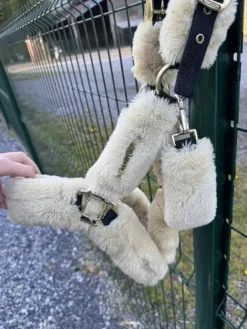 Best Licol Licols Et Longes