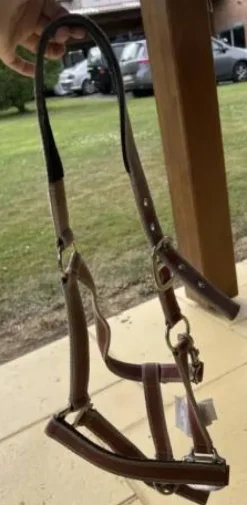 Hot Licol Licols Et Longes