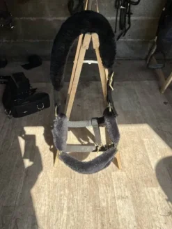 Best Licol Licols Et Longes