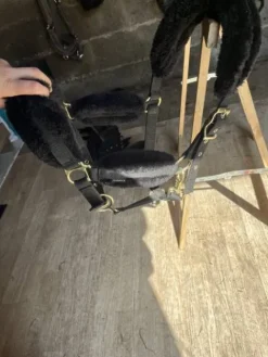 Best Licol Licols Et Longes