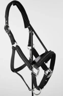 Online Licol + longe Amour - - Réglable et durable Licols Et Longes