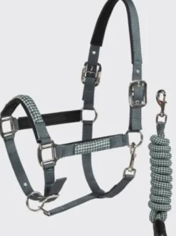 Licol + longe (2 tailles) Licols Et Longes