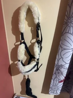 Online Licol à moumoute noir avec la longe Licols Et Longes