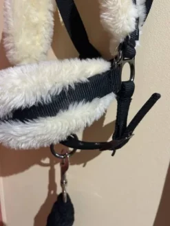 Online Licol à moumoute noir avec la longe Licols Et Longes