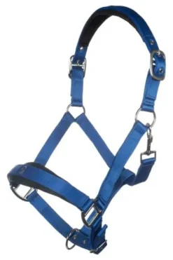 New Licol Amalfi Licols Et Longes