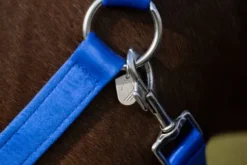 New Licol Amalfi Licols Et Longes