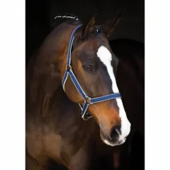 Licol synthétique - Horseware Licols Et Longes