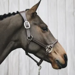 Outlet Licol anatomique en cuir - Kentucky Licols Et Longes