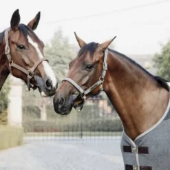 New Licol anatomique en suédine - Kentucky - Cuir artificiel Licols Et Longes