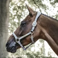 Discount Licol anatomique en suédine - Kentucky Licols Et Longes