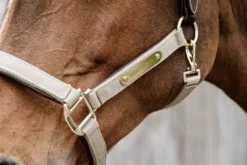 Online Licol anatomique nylon - Kentucky Licols Et Longes