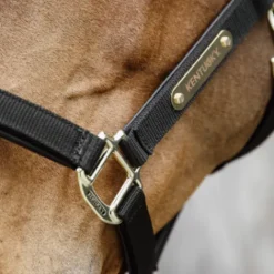 Online Licol anatomique nylon - Kentucky Licols Et Longes