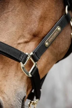 Online Licol anatomique nylon - Kentucky Licols Et Longes