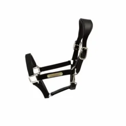 Online Licol anatomique nylon - Kentucky Licols Et Longes